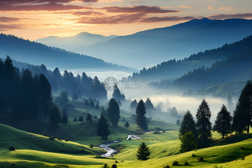 美丽的山林风景图片