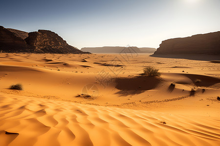 户外沙漠之旅高清图片