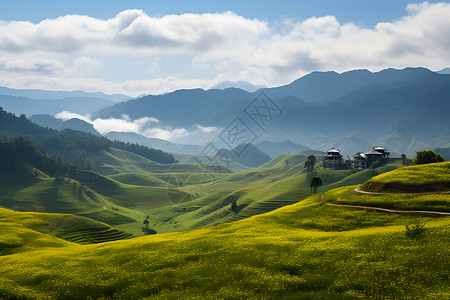 一片绿色山坡背景图片