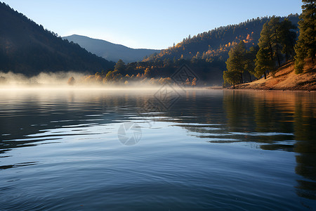 清晨迷雾笼罩的湖泊景观背景图片