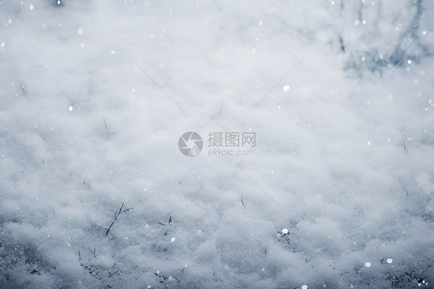 白雪皑皑的丛林景观图片