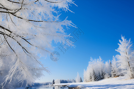 冰雪奇境的美丽景观高清图片