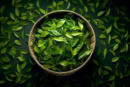 绿茶叶中的视觉奇观背景图片