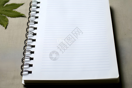 空白的条纹笔记本背景图片