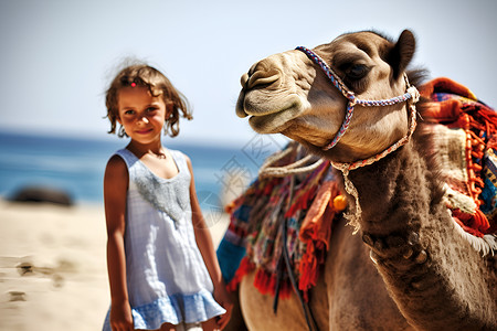 沙滩上的骆驼背景图片