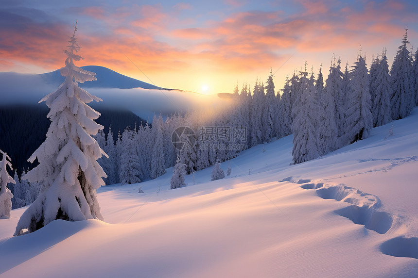 冬季山坡上的白雪图片