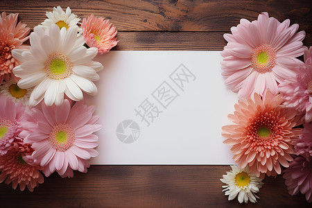 清新浪漫的花卉白纸背景背景图片