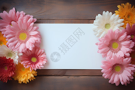 美丽的花卉白纸背景背景图片