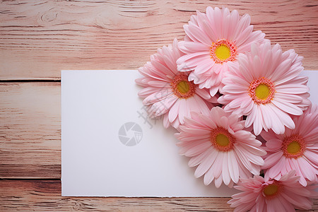 精美花朵素材创意美感的花卉白纸背景背景