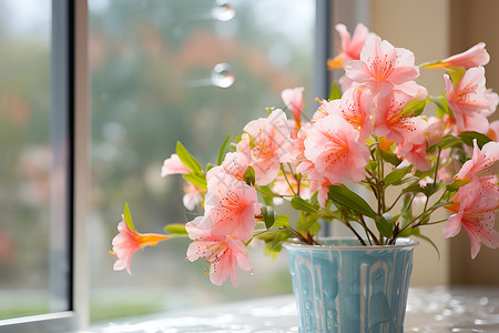 窗边花盆里的花朵背景图片