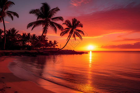 夕阳下的椰林沙滩背景图片