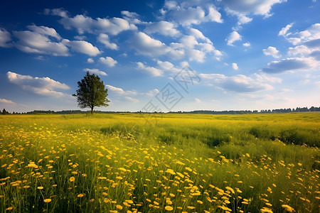 怡然自得一片乡村风光背景