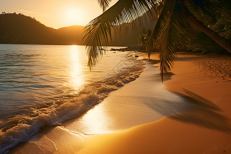 夕阳下的棕榈树与海滩背景图片