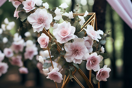 美丽的粉色花朵背景图片
