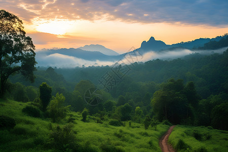 黄昏的山谷美景背景图片