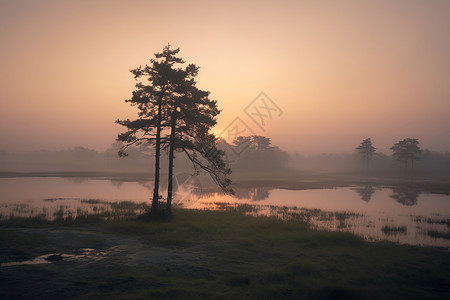 夏季神秘的日出湖泊景观背景图片