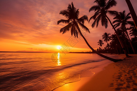 夕阳下热带沙滩的美景背景图片