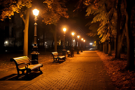 夜晚街道中的路灯和长椅背景图片