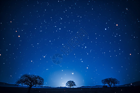 星空下的树影背景图片