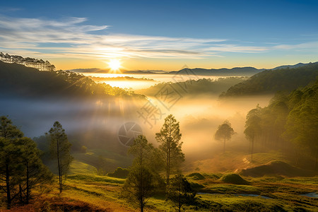 山谷的晨曦背景图片