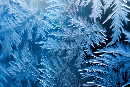 寒冷的冬季冰柱冬季冰冻的冰霜背景