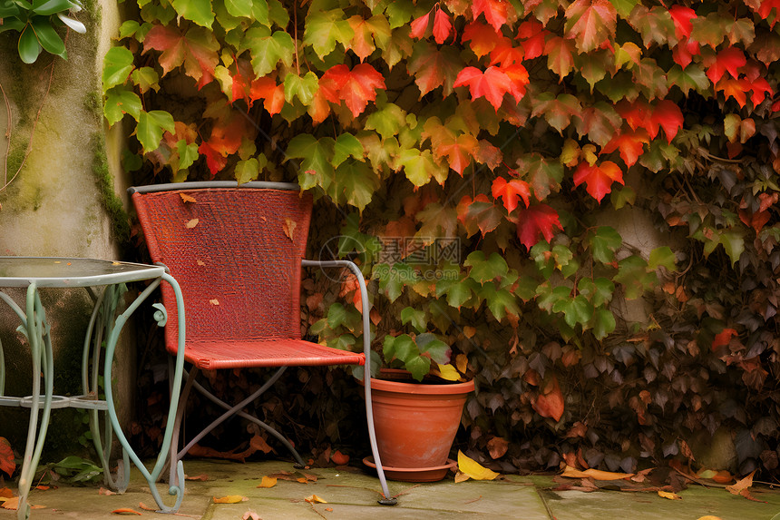 宁静的秋季花园图片