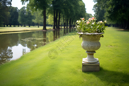 清新绿意的夏季花园背景图片