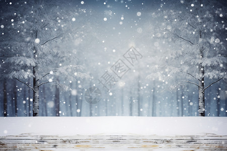 皑皑白雪白雪皑皑的森林景观设计图片