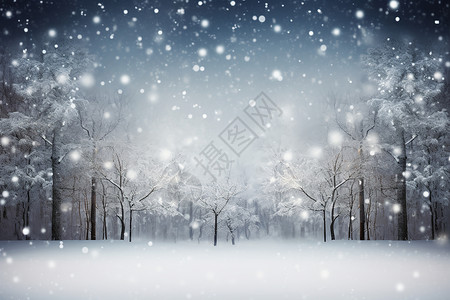皑皑白雪冬季白雪覆盖的森林景观设计图片