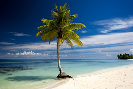 椰子树大海蓝天白云下的热带海滩背景