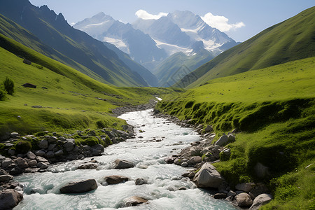 碧绿的草地碧绿山谷里的溪流背景