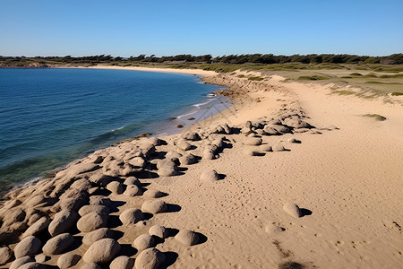 海滩的石头背景图片