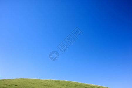 蓝天下的青青草地背景图片