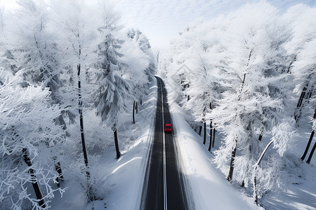 道路两侧结冰的树木背景图片