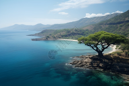 度假景区的沿海风光背景图片