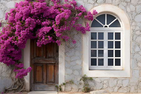 紫色房子房子门前的花树背景
