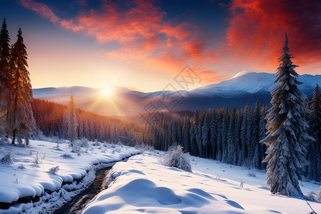 冬日日出冬日暮色下的山林奇观背景