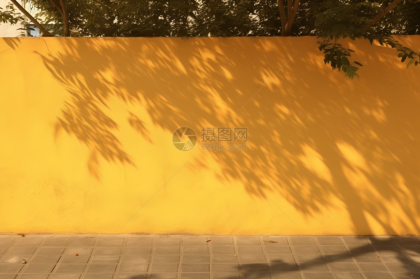 黄墙边的树图片