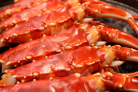 海洋螃蟹海洋盛宴背景