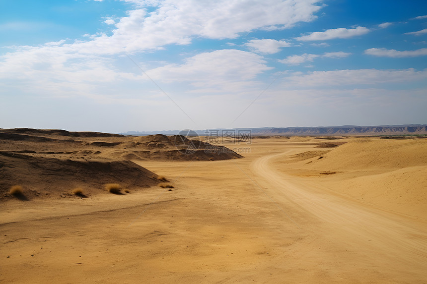 沙漠中的自由之路图片