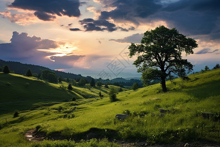 清新绿意的夏季山谷景观背景图片