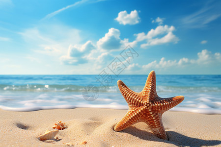 沙滩上的海星海滩上的海星背景
