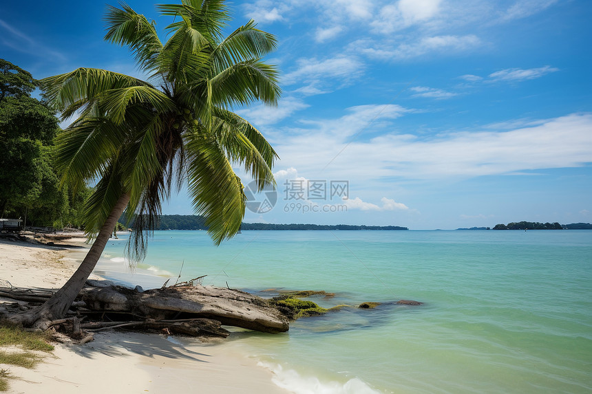 海边的自然美景图片