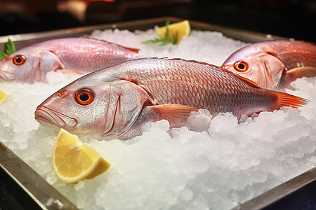柠檬和鱼海鲜鱼冰块高清图片