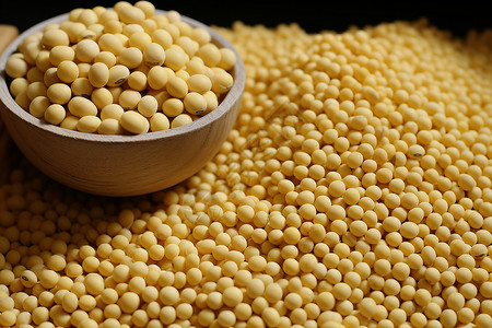 大豆种子粗粮谷物食物背景