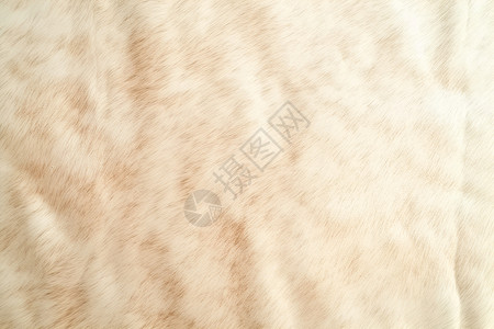 柔软舒适的白色地毯背景图片