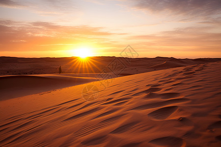 沙漠的黄昏背景图片