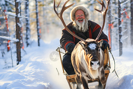 冬日林中骑雪橇背景图片
