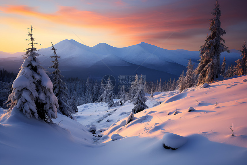 白雪皑皑的丛林山脉景观图片