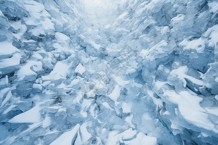 雪覆盖的森林背景图片